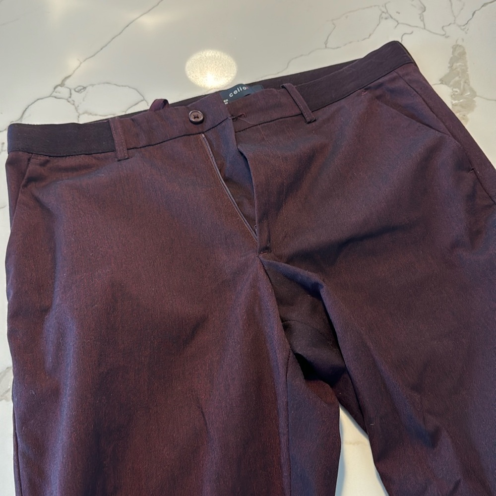 Men’s burgundy cropped slim pant